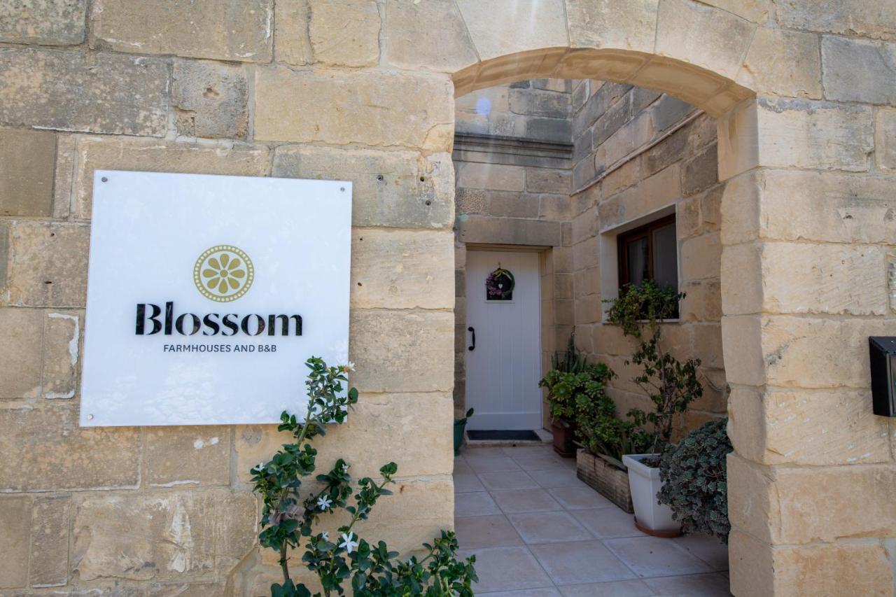 Blossom Farmhouses Għasri Buitenkant foto